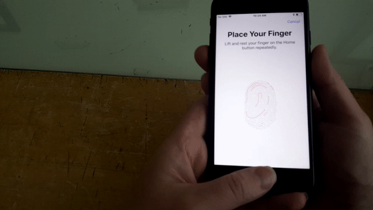 iPhone fingerprint scanner
